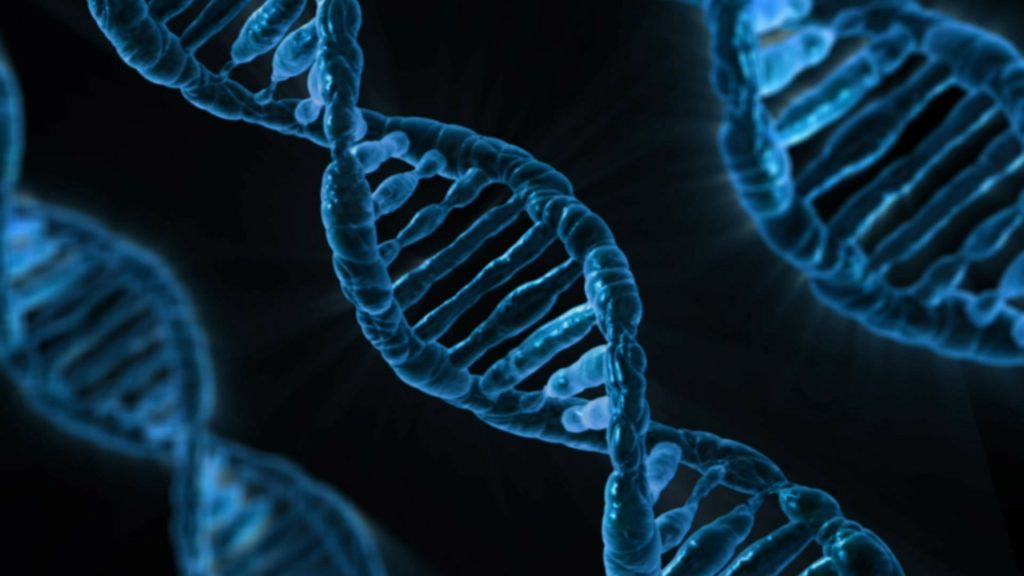 Hvad er dna